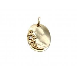 Placa de Oro 18 Kt  5.4 gr....