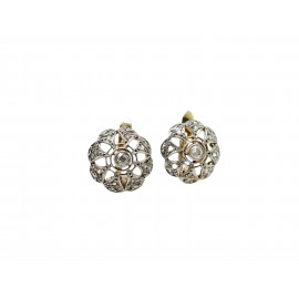 Pendientes de Oro Bicolor...